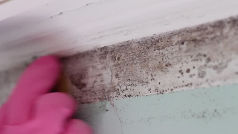 Best Indoor Air Quality Assessment  in Presidio, TX